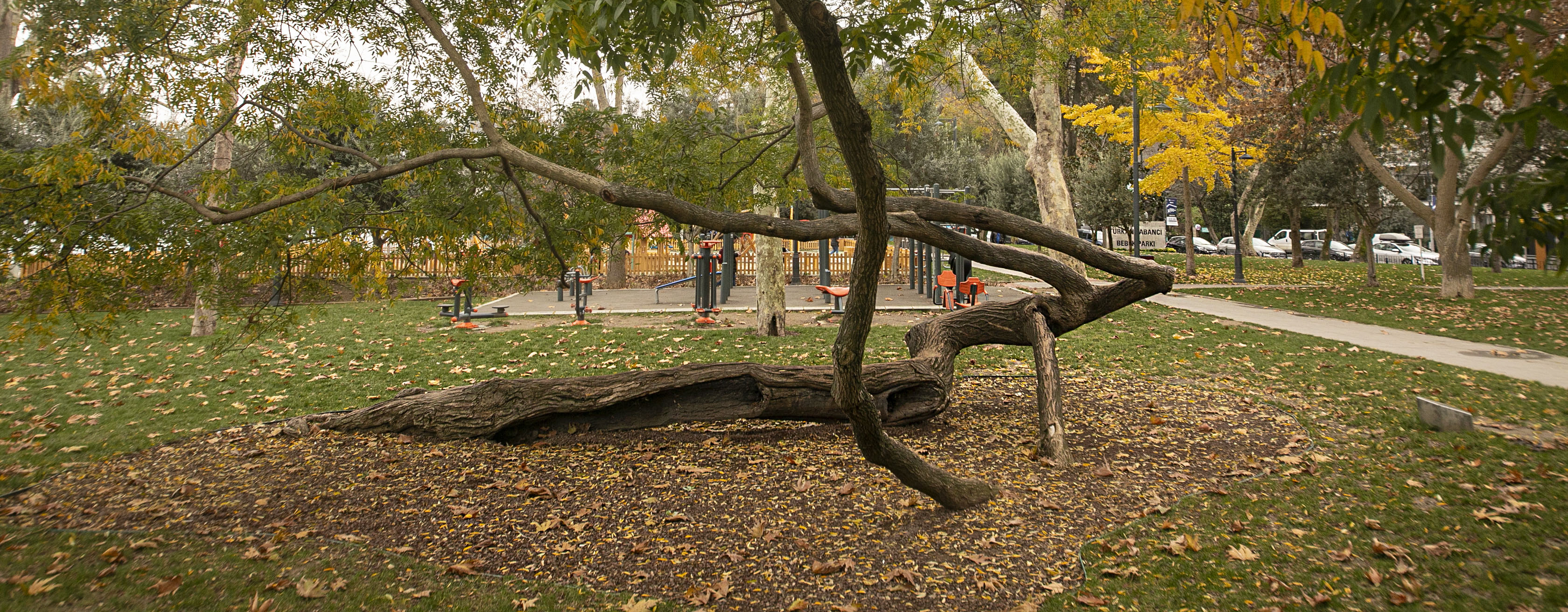 Bebek Parkı